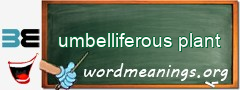 WordMeaning blackboard for umbelliferous plant